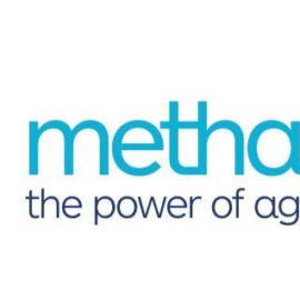 Methanex Kokako logo