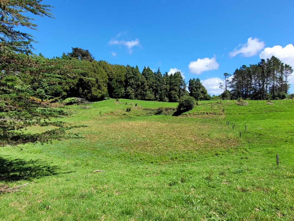 Photo looking east over the site